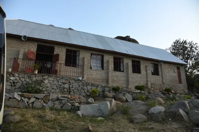 DSC_2661 (Large).JPG